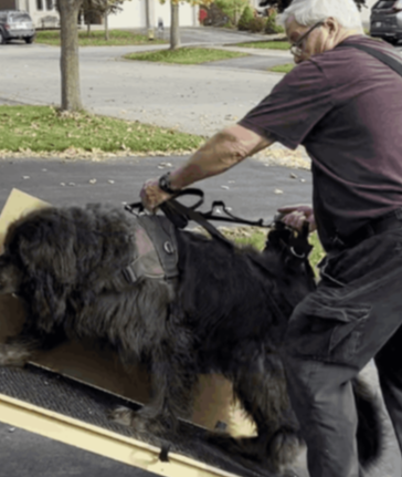 charlie_ascending_ramp_with_panel